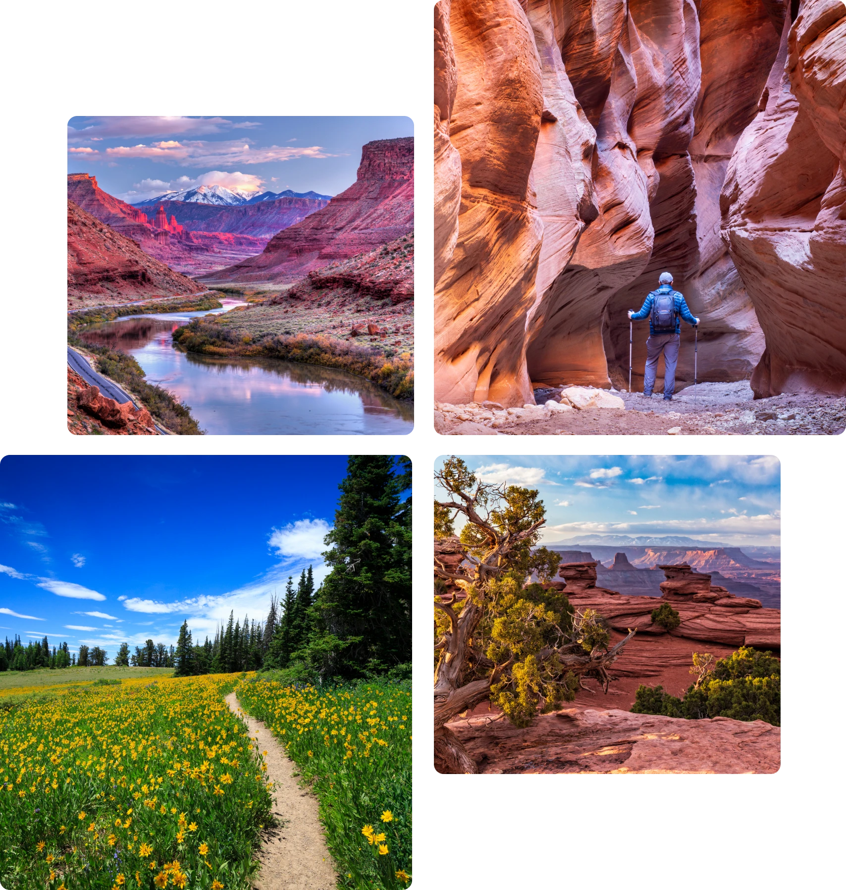 Four diverse scenic landscapes in nature.