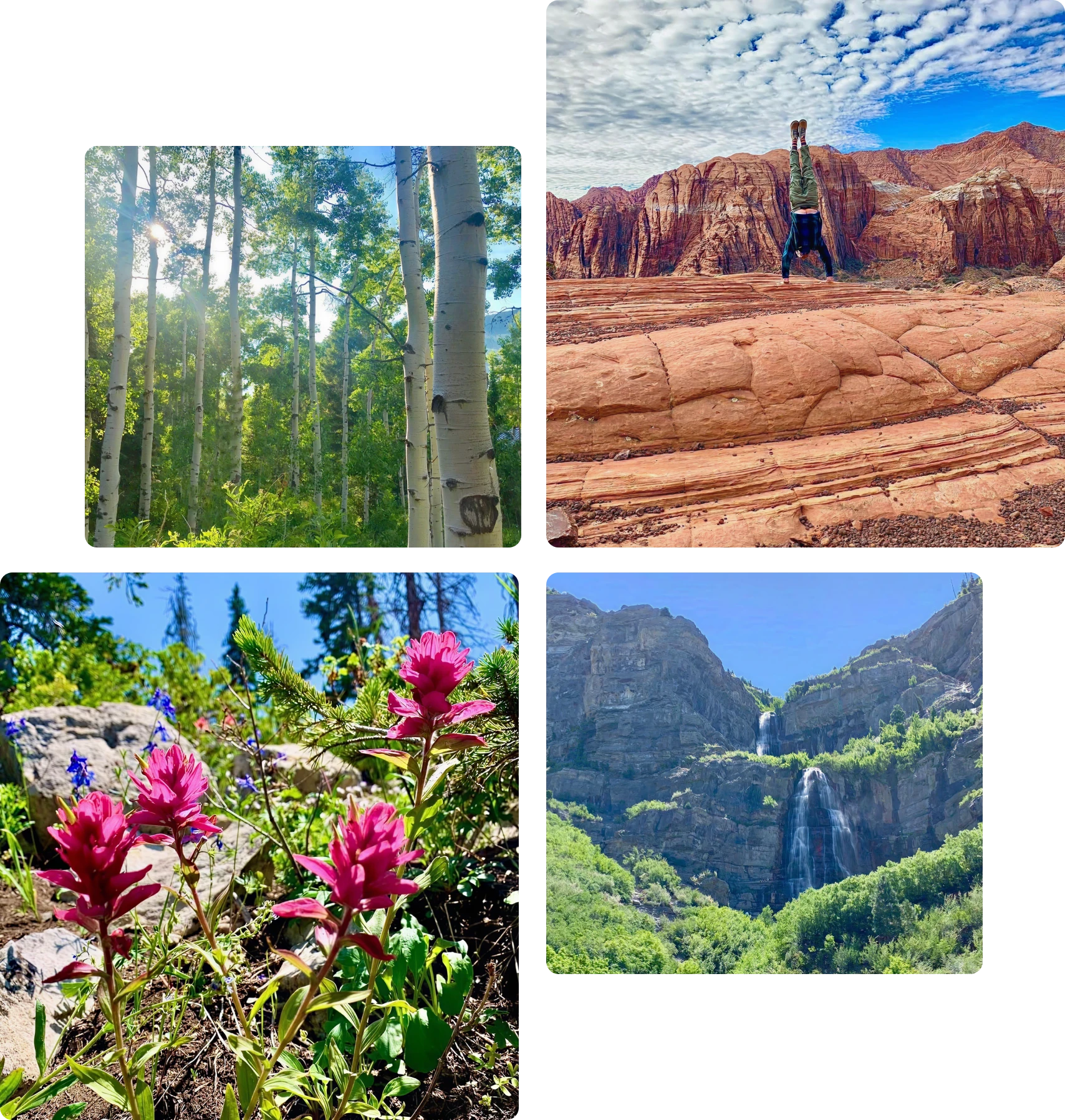 Forest, desert, flowers, and waterfall landscapes.