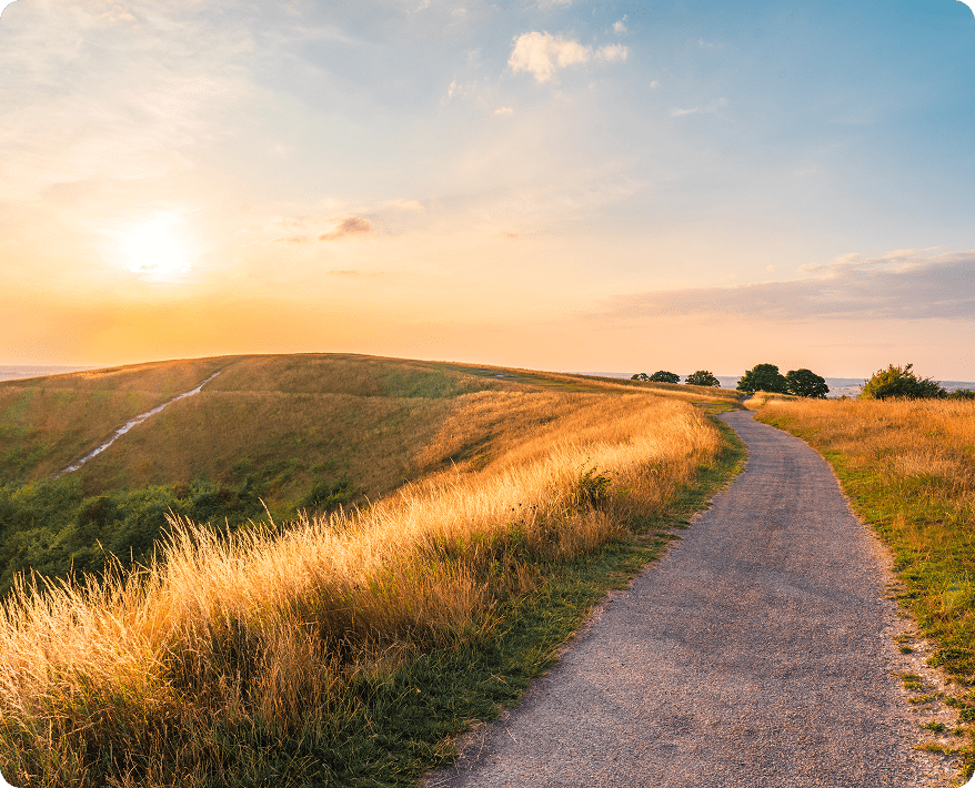 Path through grassy hills at sunset.
